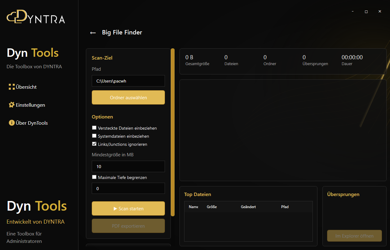 Big File Finder in DynTools mit Scanoptionen und Ergebnisbereich